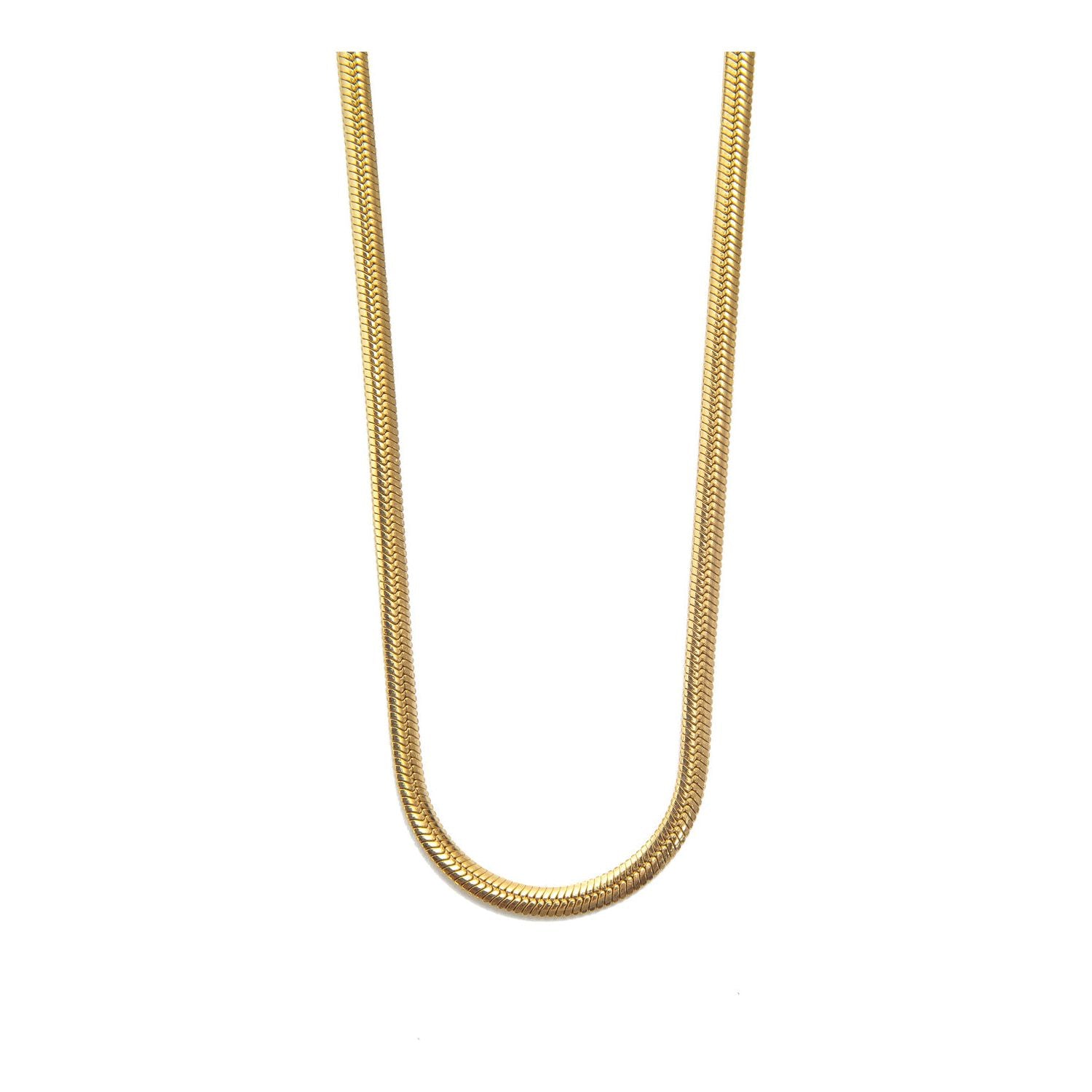 Snake Genderless Necklace