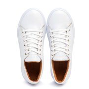 Equus Classic White